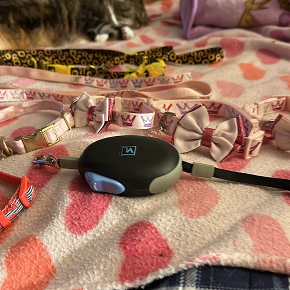 Colorful Dog Leashes Set - Picture 4 of 6